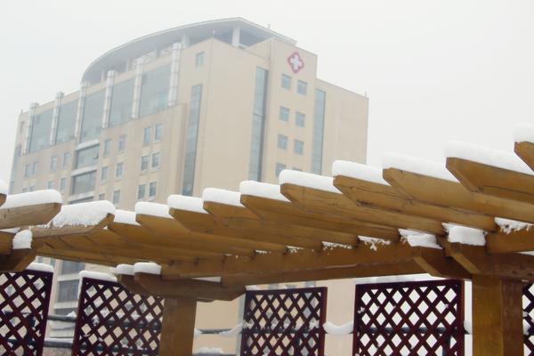 郑州49中雪景 (7)